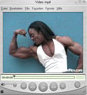 Video clip (7.6 MB)