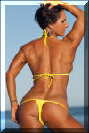 Toni Andra