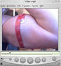Video clip (5.1 MB)